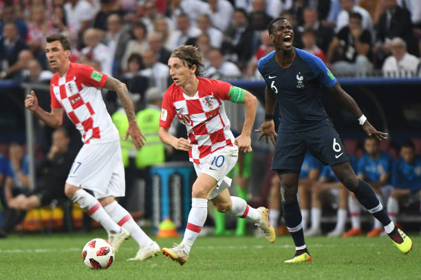 与培养潜力 与培养潜力