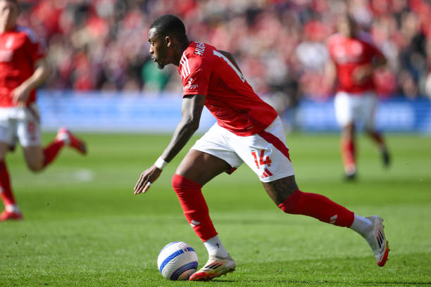 是众多高球 是众多高球