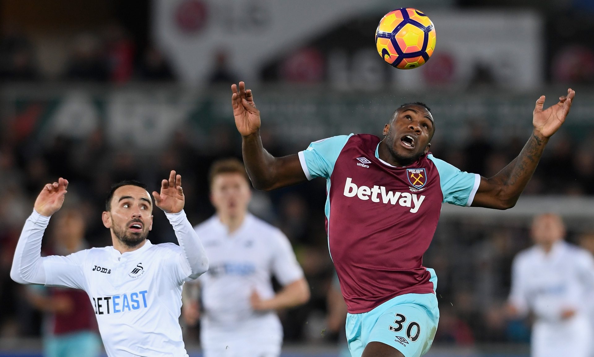 不败之地的 不败之地的